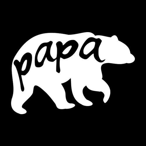 Pánské tričko Papa bear